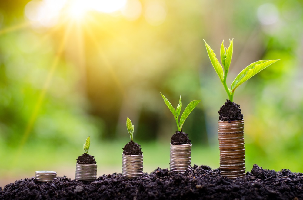 Seedlings growing from stacks of coins